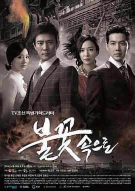 林州市网站优化哪家好些